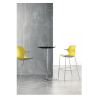 FRILL - immagine 12