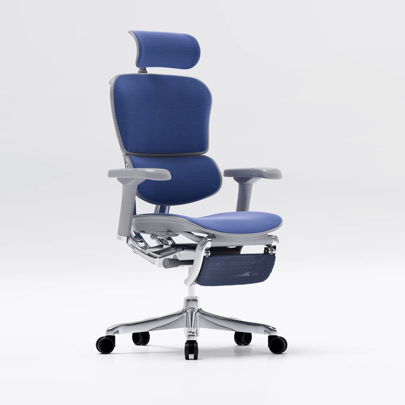 Ergohuman EVOLUTION MED - immagine 2